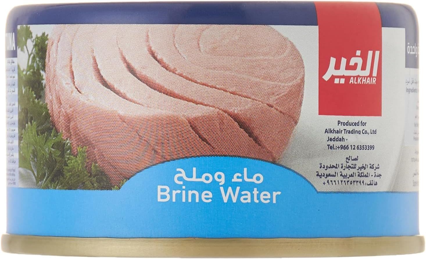كرتون تونة الخير ماء وملح 95جم * 48