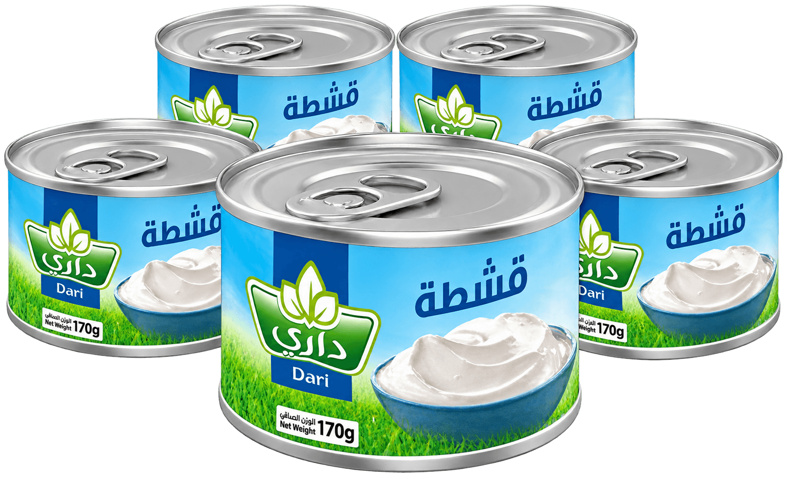 كرتون شبيه قشطة داري 155 غ * 48